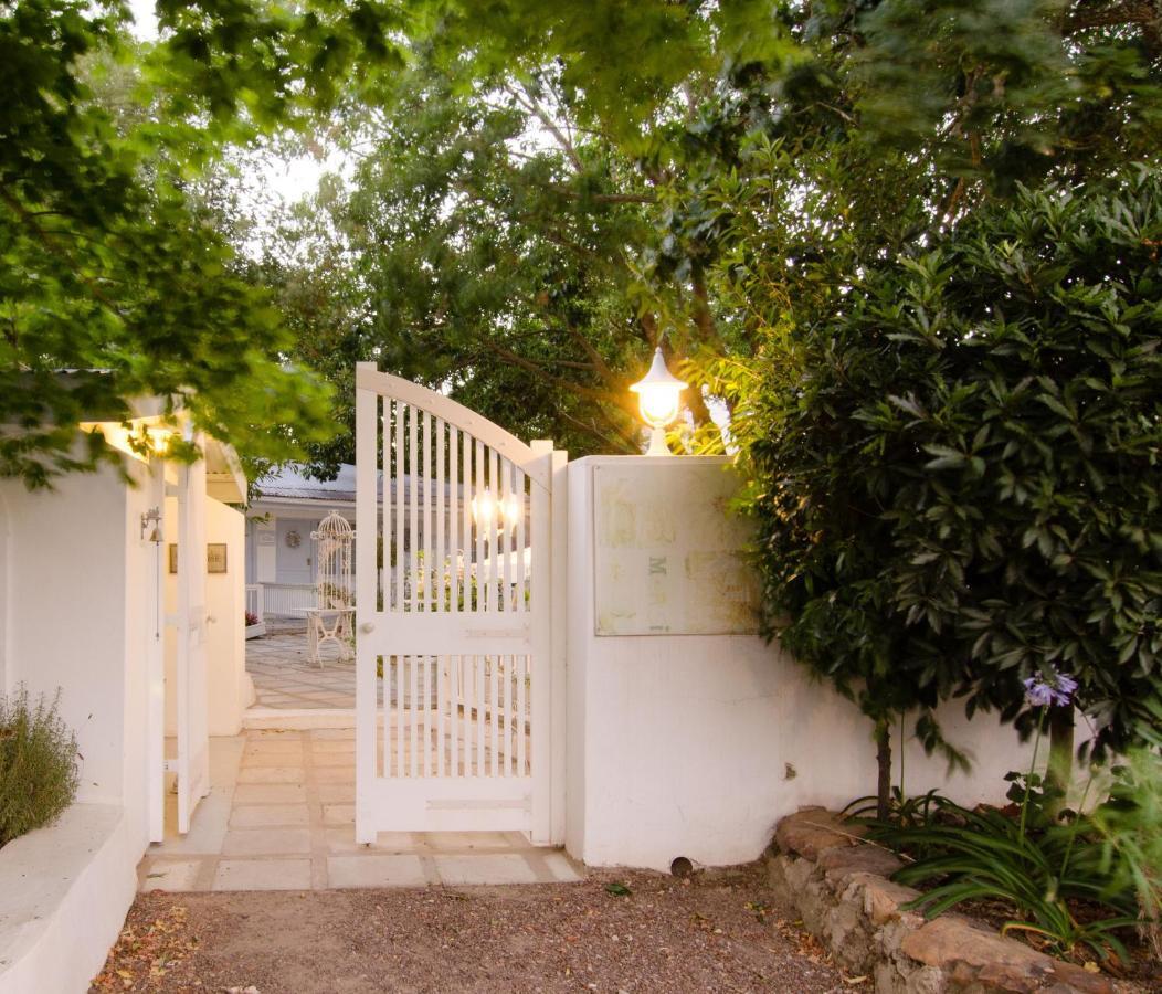 The Lady Grace Greyton Quarto foto